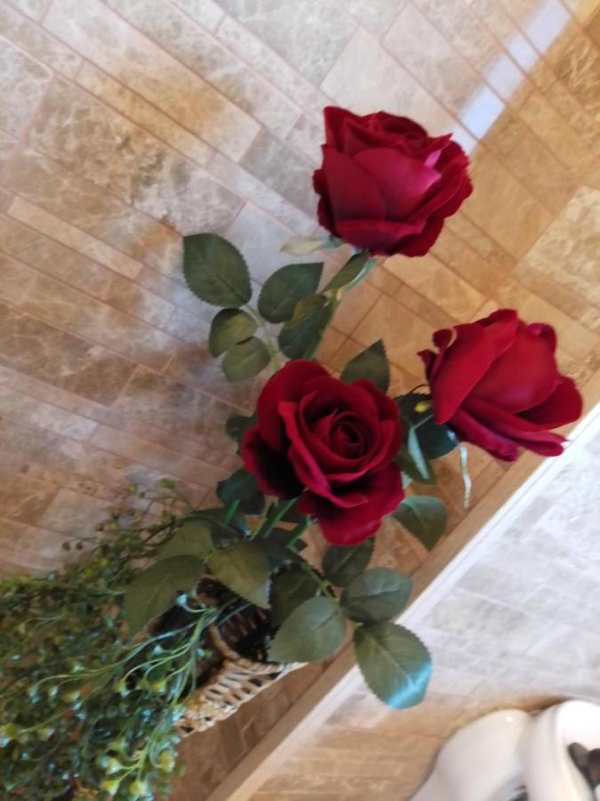 Casa Maria Roses Hotel ริชนอฟ ภายนอก รูปภาพ