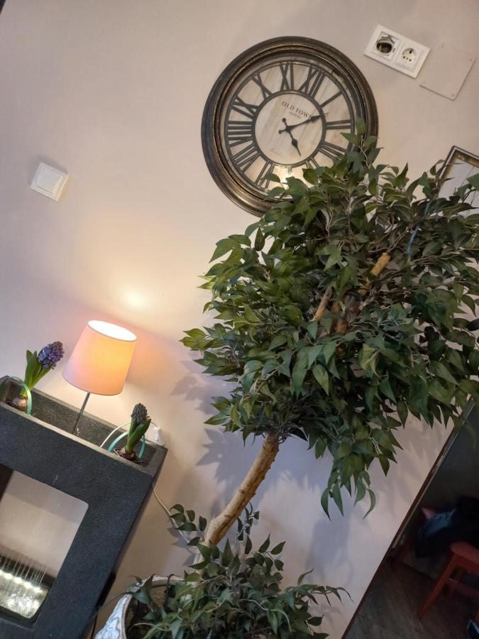 Casa Maria Roses Hotel ริชนอฟ ภายนอก รูปภาพ